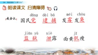 20我的弟弟小萝卜头共33张ppt