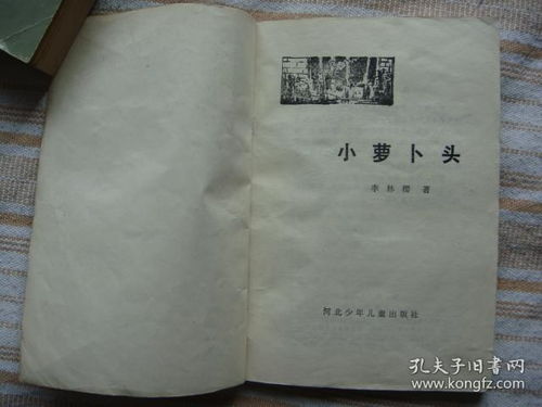 小萝卜头